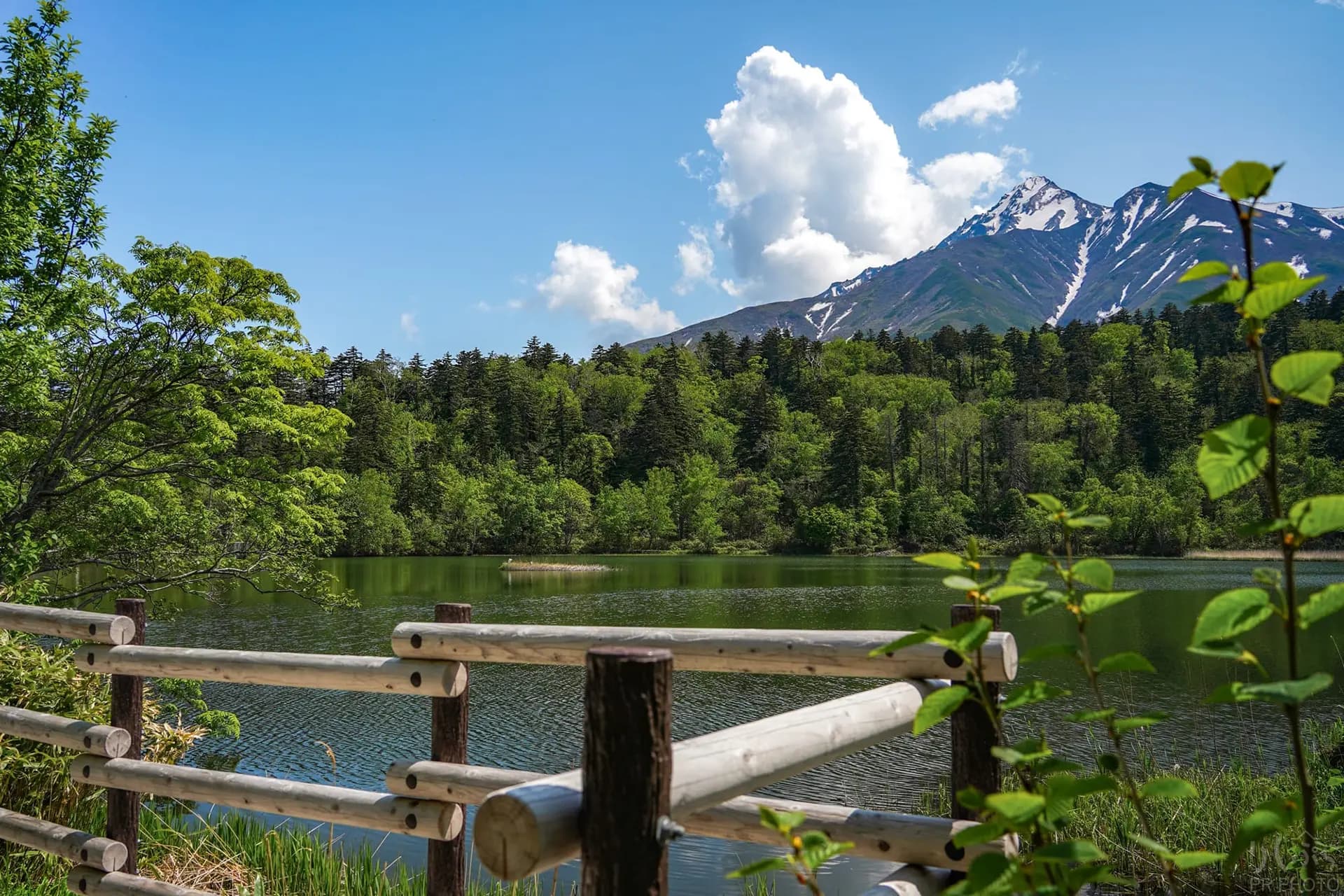 姫沼の風景 5