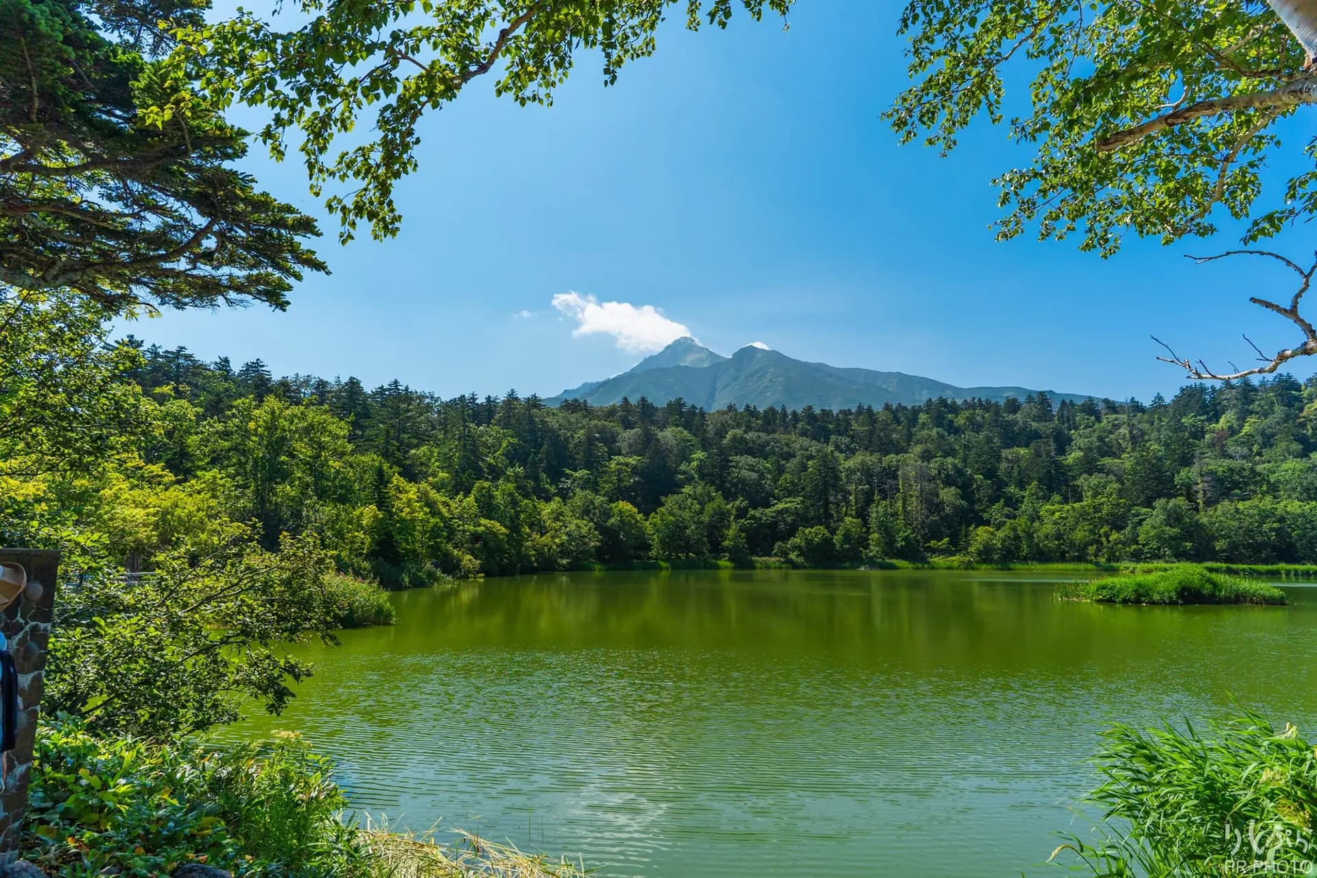 姫沼の風景 2
