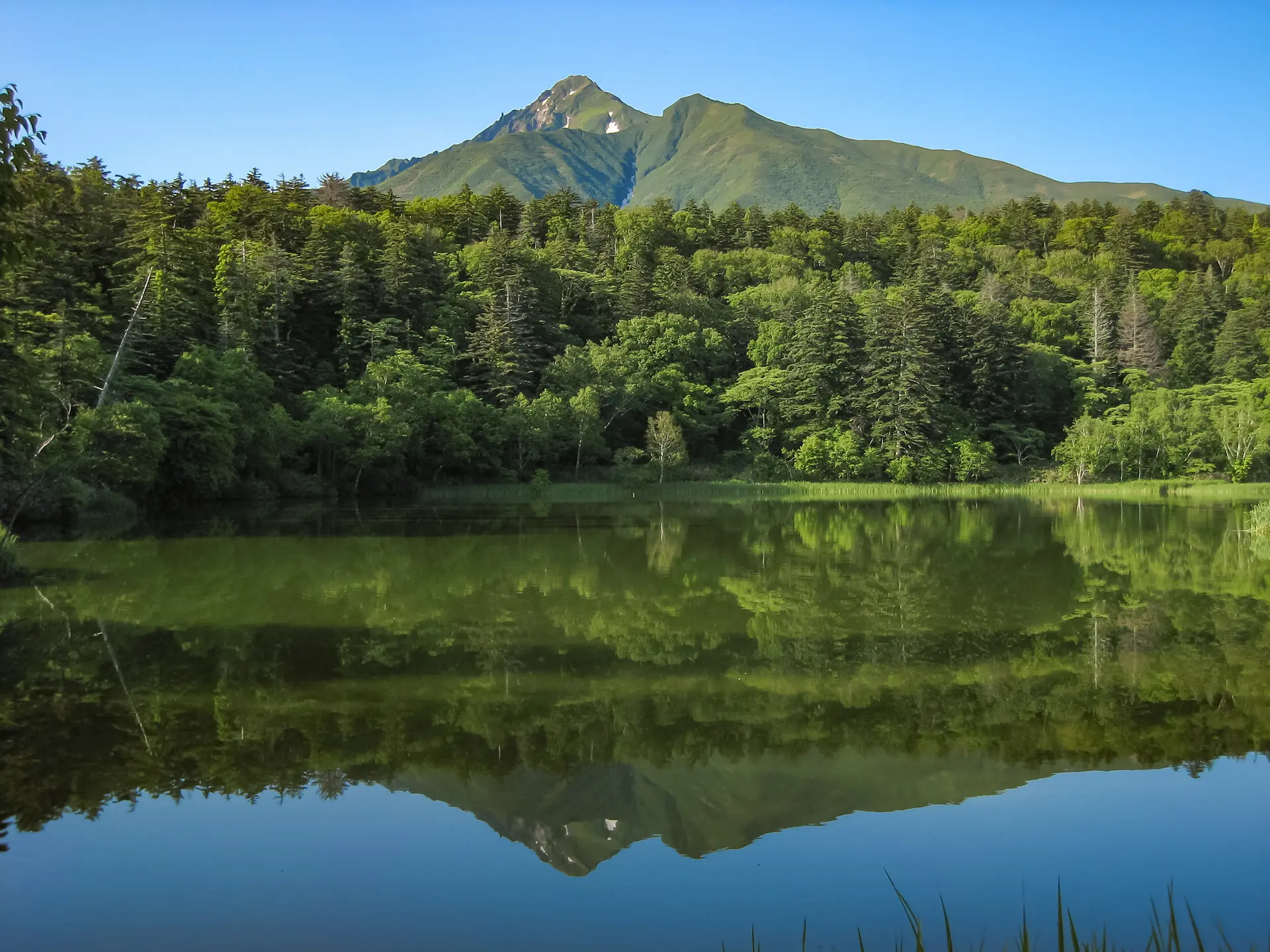 姫沼の風景 1