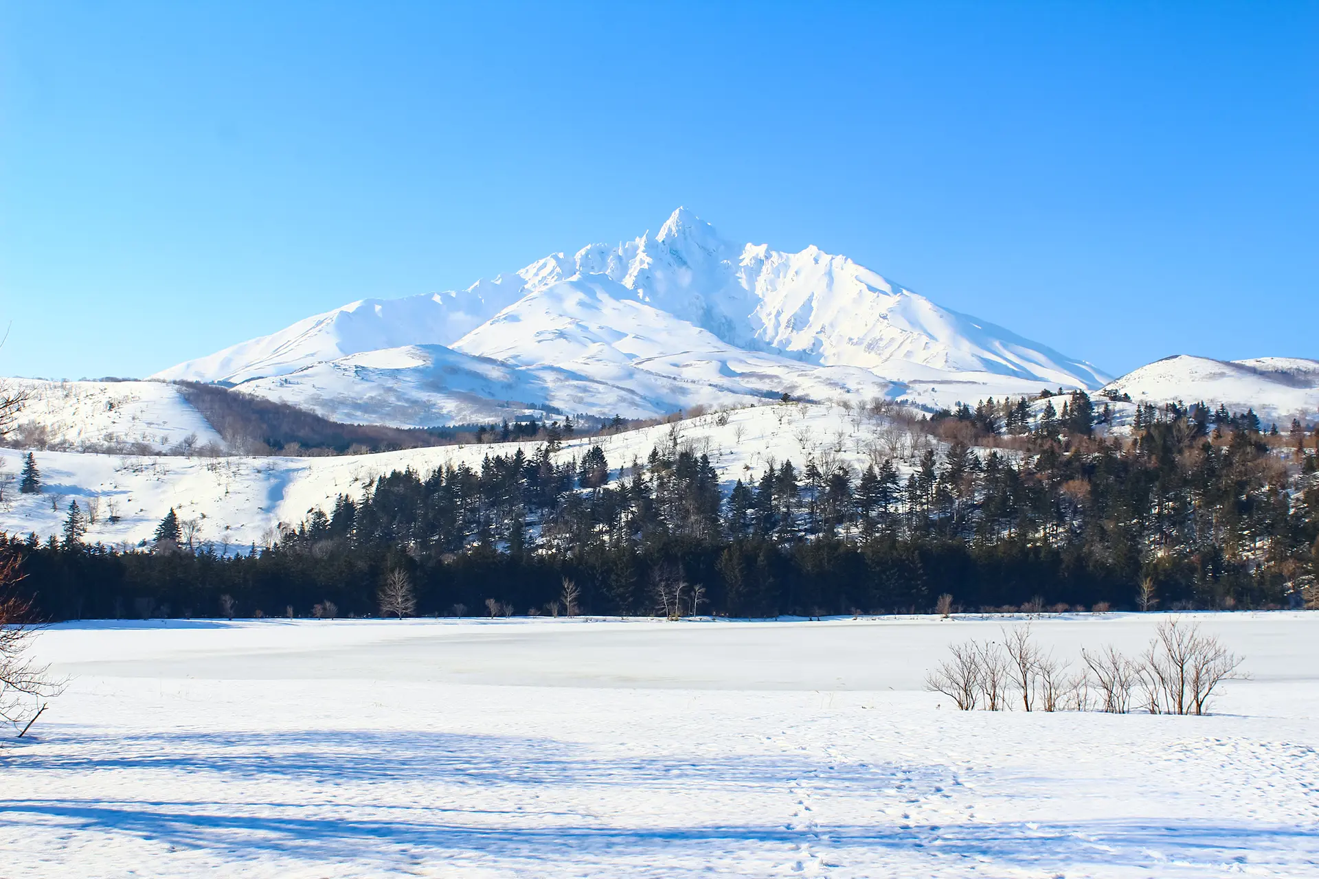 オタトマリ沼の風景 3