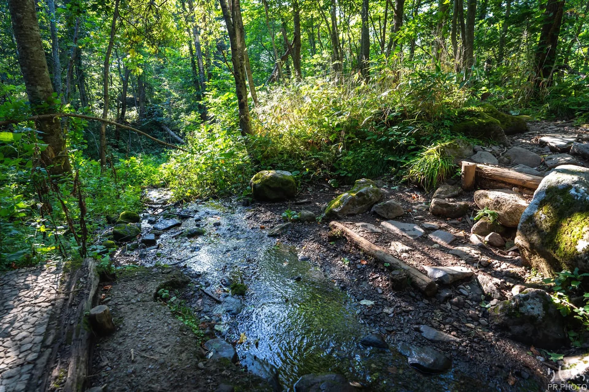 甘露泉水の風景 4