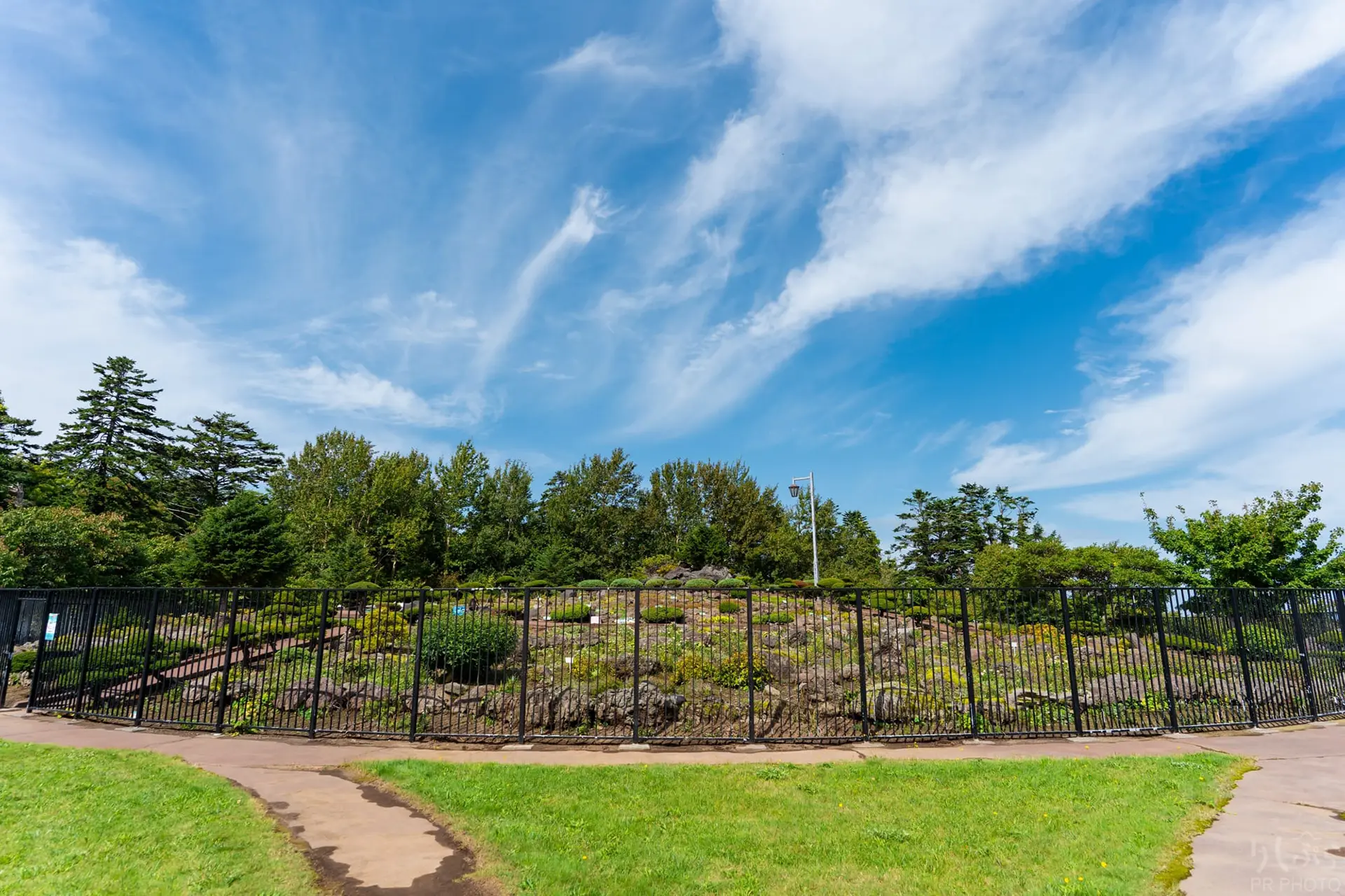高山植物展示園の風景 3