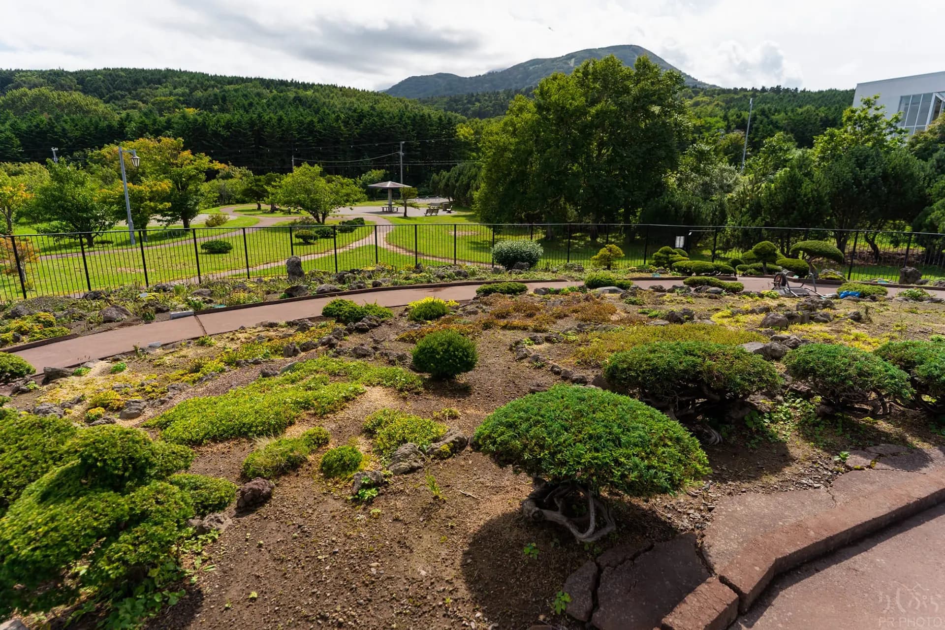 高山植物展示園の風景 2