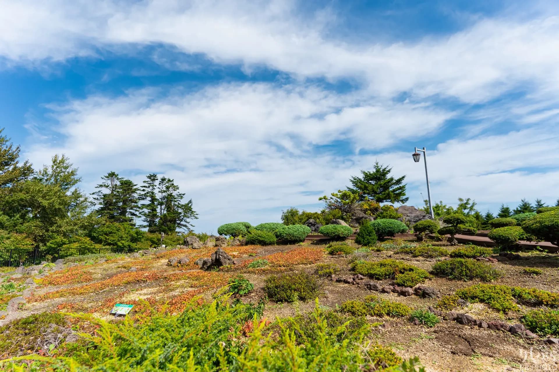 高山植物展示園の風景 1